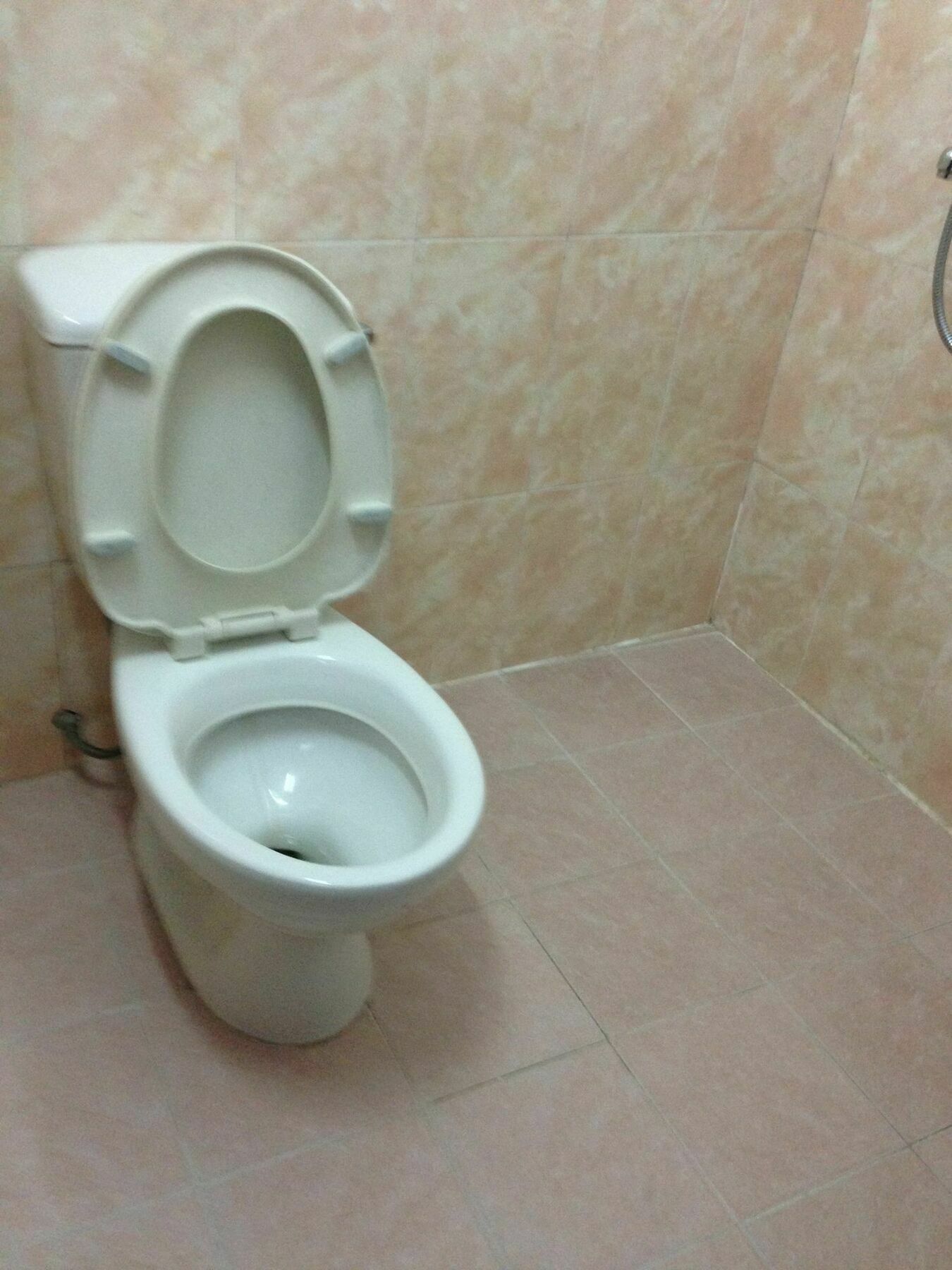 Thien Phuc Guesthouse Đà Lạt Ngoại thất bức ảnh